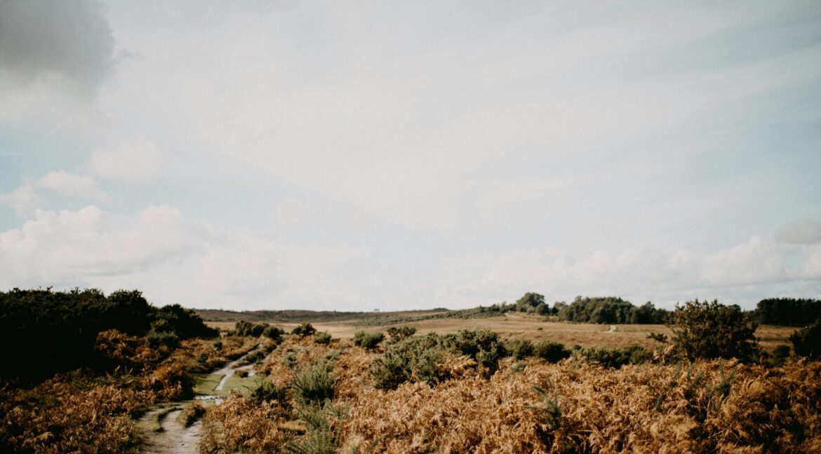 annie-spratt-G76RH6cS_NU-unsplash