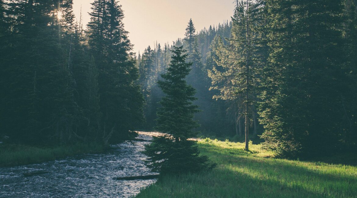 Invest in Land 2025, MidAmerica Land LLC