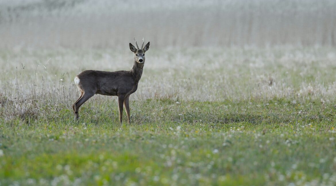 wlodzimierz-jaworski-zCyJFK5qPYQ-unsplash