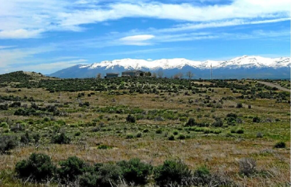 Top U.S. States for Raw Land Investment in 2025