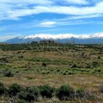 Top U.S. States for Raw Land Investment in 2025