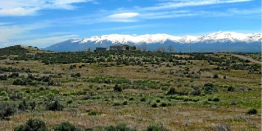 Top U.S. States for Raw Land Investment in 2025