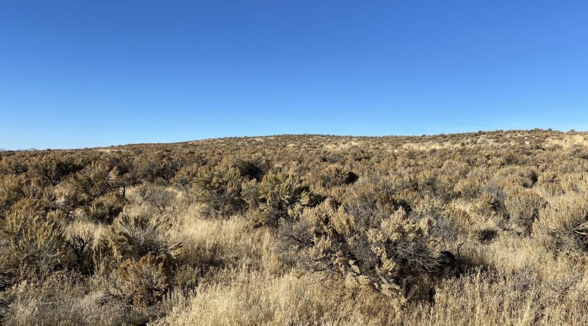 NV-Elko-010-56D-029 Pix 1