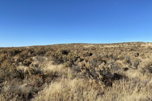 Elko - 010-56D-029