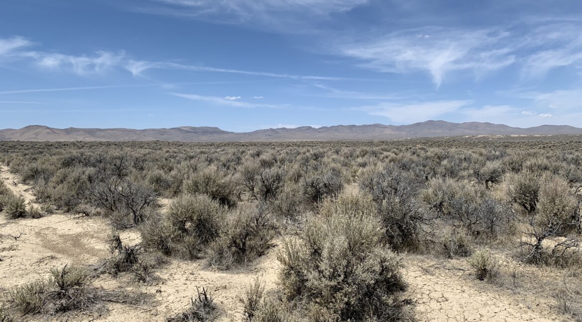 NV-Elko-010-81i-054 Property Pix 9