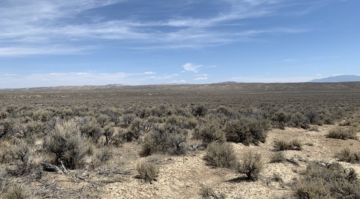 NV-Elko-Gamble District-Property Pix 19