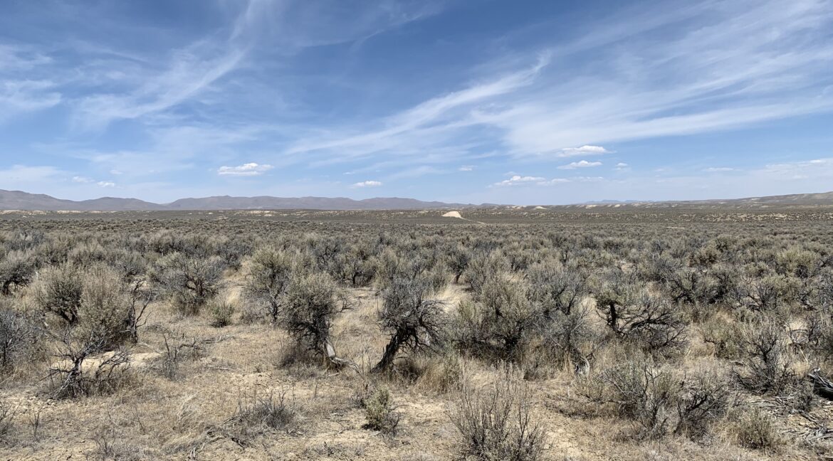 NV-Elko-Gamble District-Property Pix 4