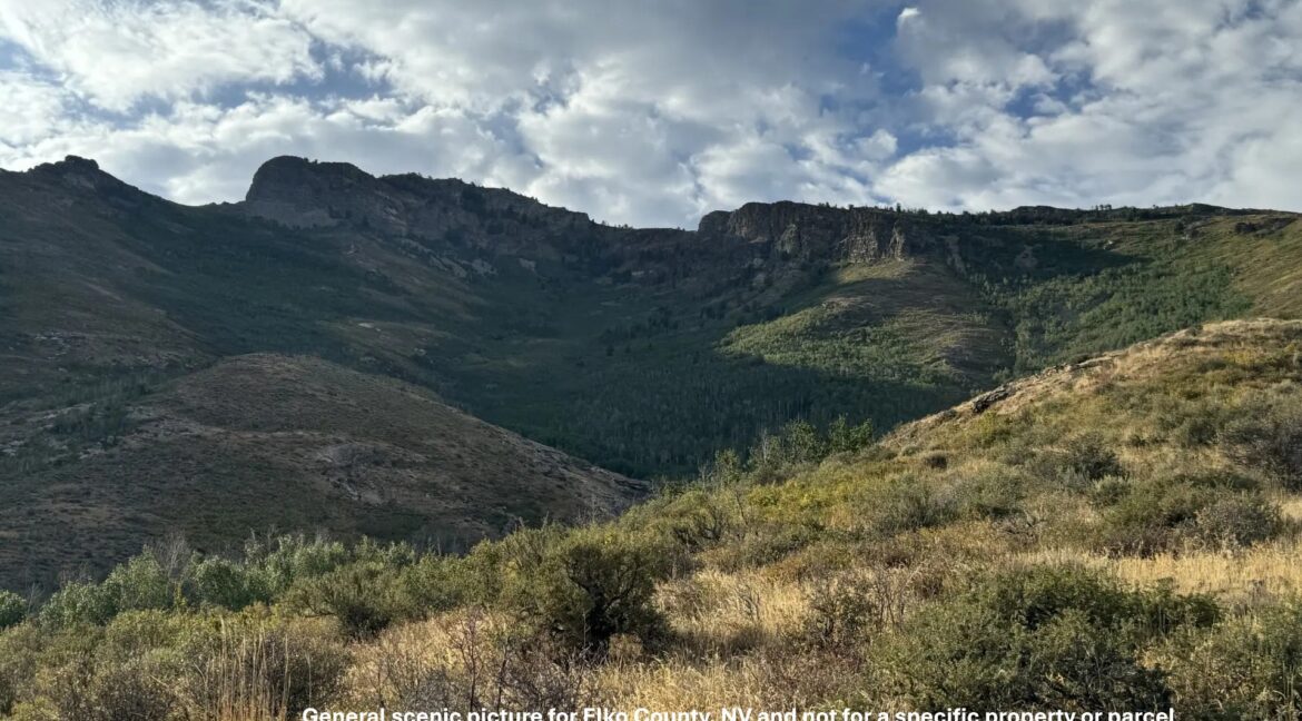 Elko County - Ruby Mountain 2