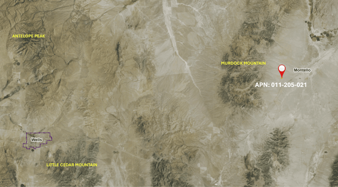 GIS Map for 011-205-021 Overview