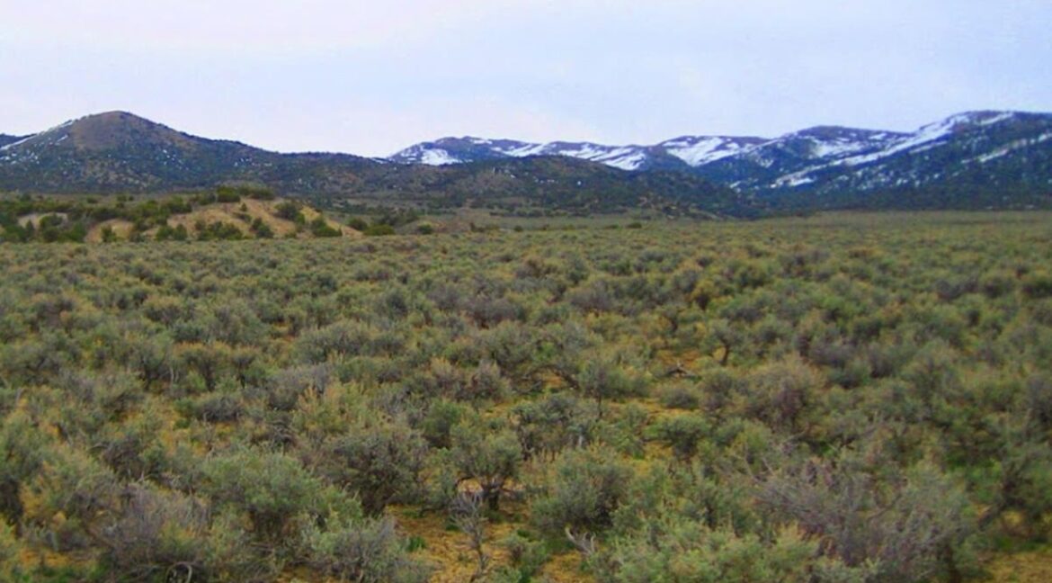 mountain-and-private-lot-montello-elko-county-nevada 1