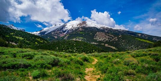 great basin national park is a gem
